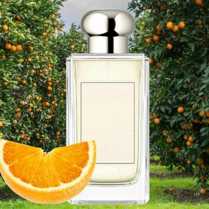 Citrus Blossom Fragrance Oil