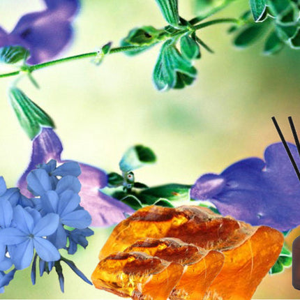 Blue Sage Fragrance Oil