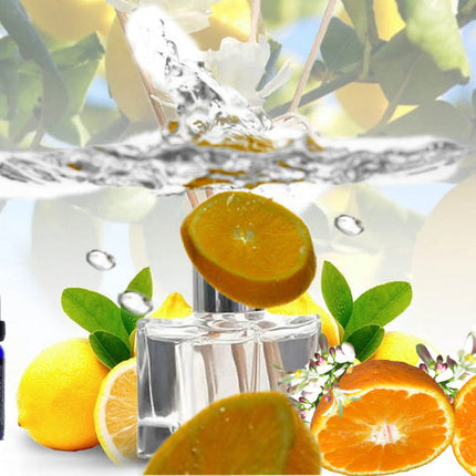Citrus Lift Essential Oil Blend