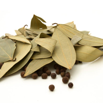 Bay Leaf Essential Oil