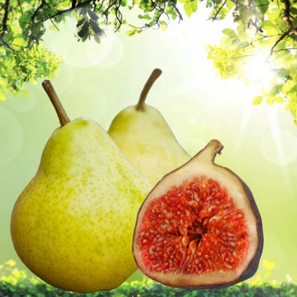 Fig & Pear Fragrance Oil