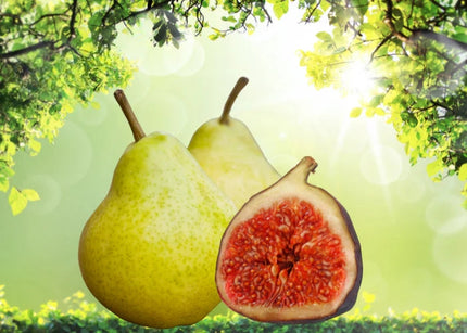Fig & Pear Fragrance Oil