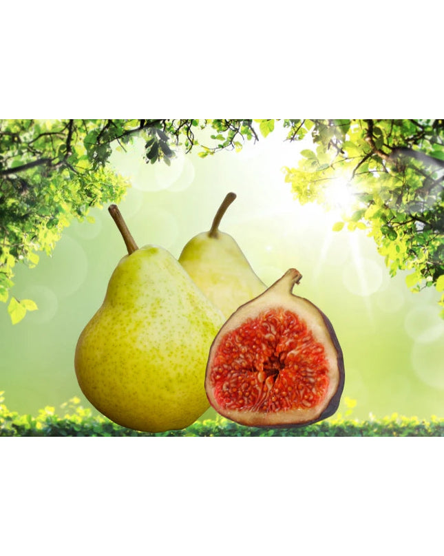 Fig & Pear Fragrance Oil