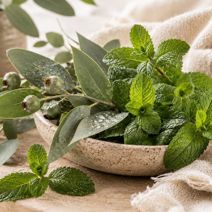 Eucalyptus & Mint Fragrance Oil