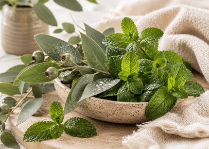 Eucalyptus & Mint Fragrance Oil