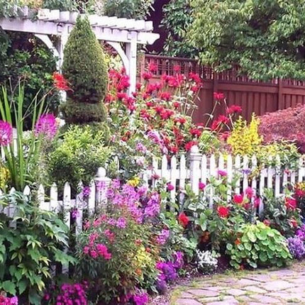 Cottage_Garden_SH8P3JEZ45FG.jpg