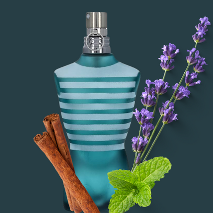 Le Male Type Fragrance Oil