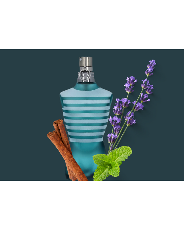 Le Male Type Fragrance Oil