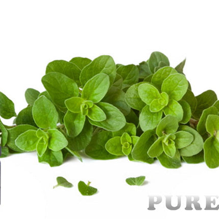 Oregano Essential oil