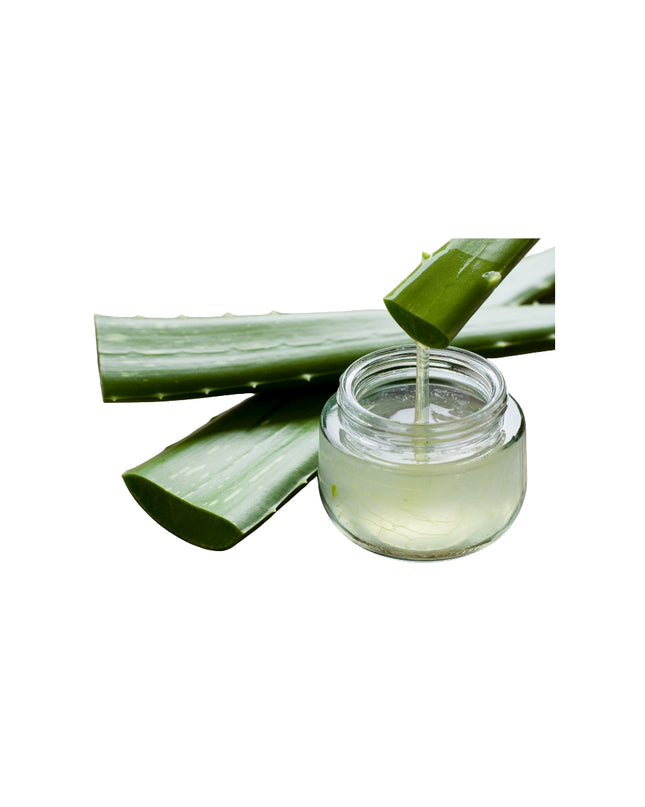 Aloe Vera Gel Natural