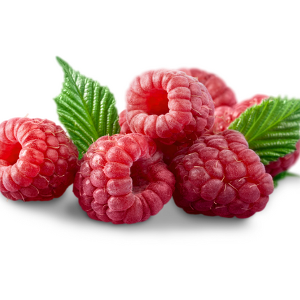 Raspberry Seed Oil - Organic Unrefined