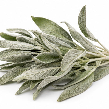 White Sage Essential Oil