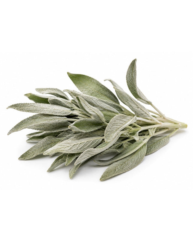 White Sage Essential Oil