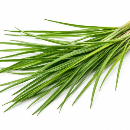 Palmarosa Essential Oil
