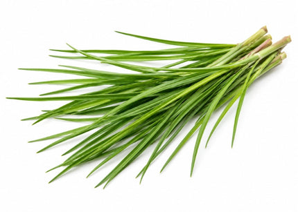 Palmarosa Essential Oil