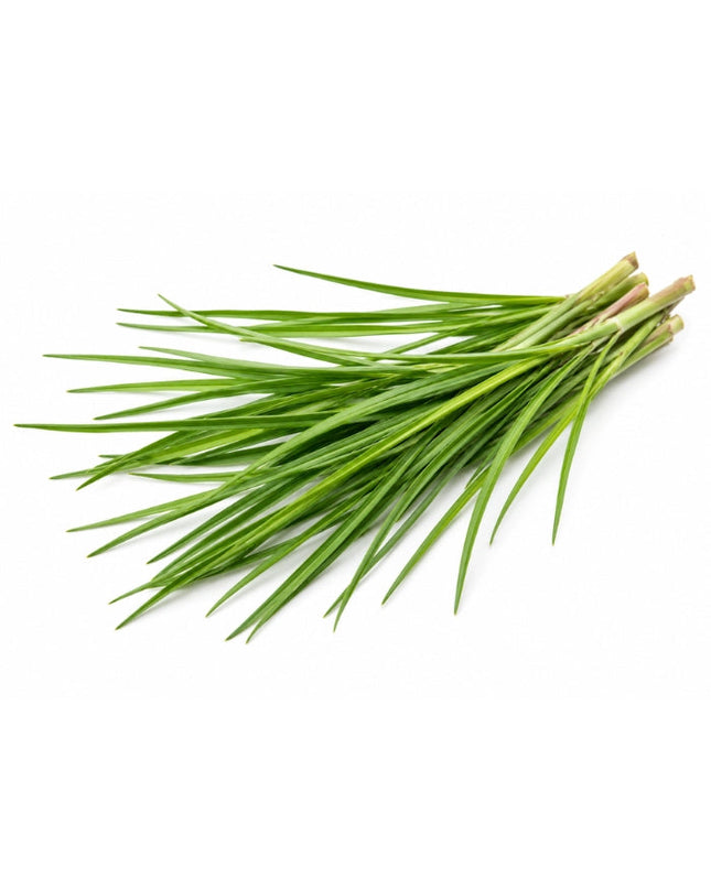 Palmarosa Essential Oil