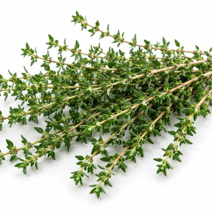 Thyme (white) Essential oil