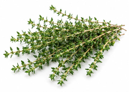 Thyme (white) Essential oil