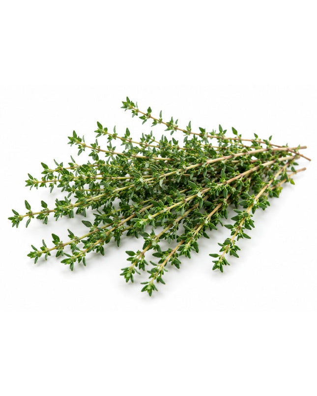 Thyme (white) Essential oil