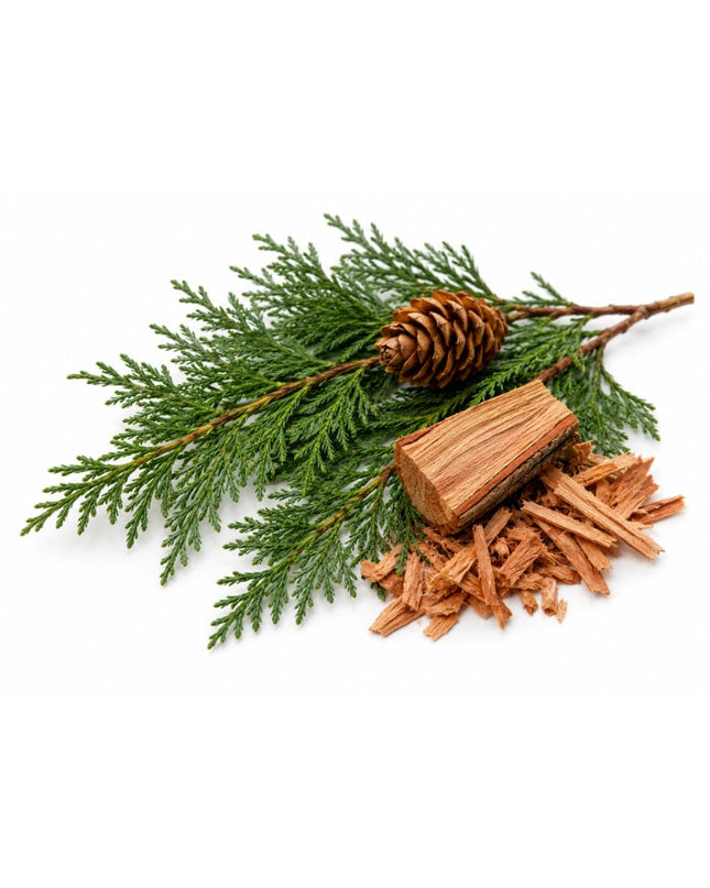 Cedarwood Essential Oil