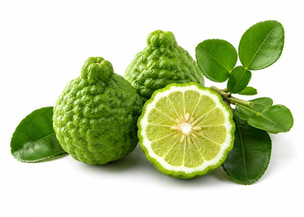 Bergamot Essential Oil