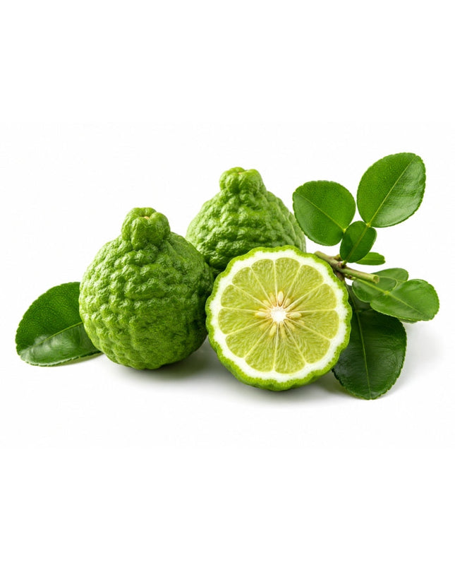 Bergamot Essential Oil