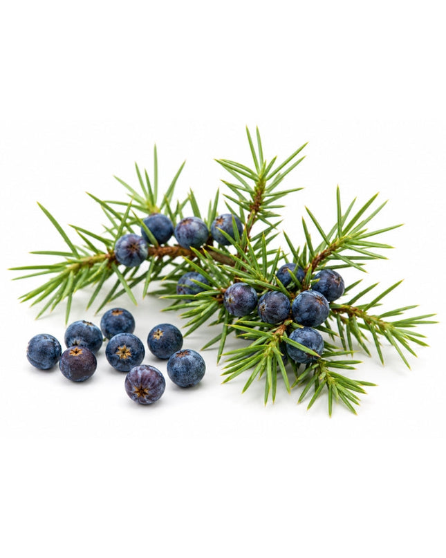 Juniper Berry Essential Oil