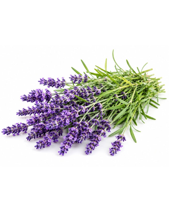 Lavender Essential Oil