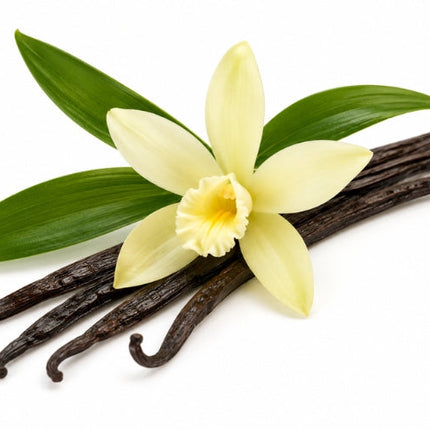 Vanilla Essential Oil
