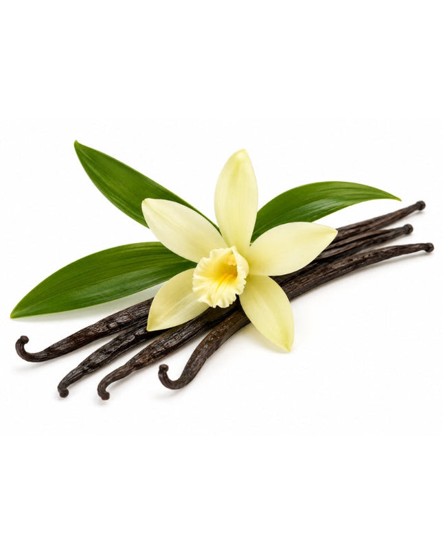 Vanilla Essential Oil