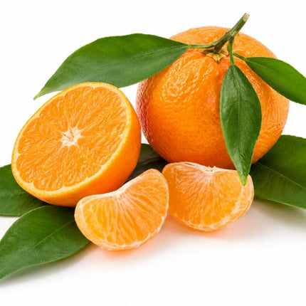 Tangerine Essential Oil
