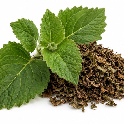 Patchouli Essential oil