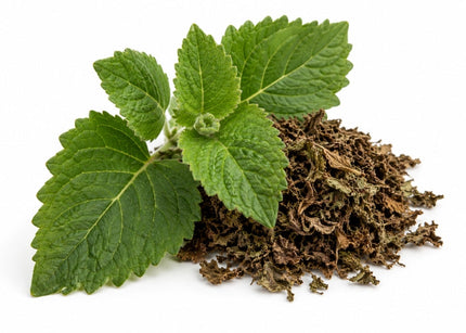 Patchouli Essential oil