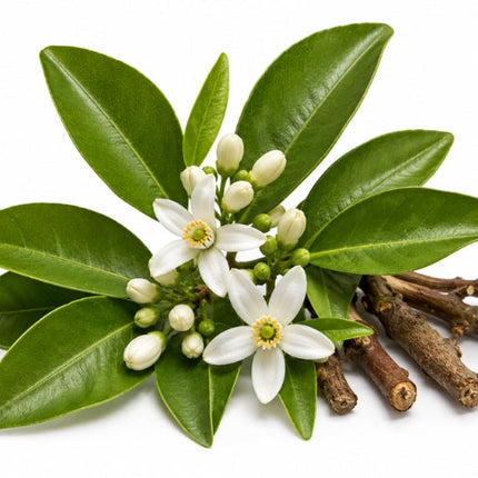 Petitgrain Essential Oil