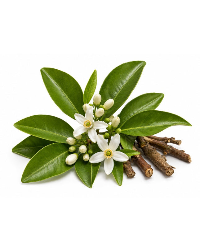 Petitgrain Essential Oil