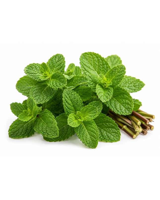 Peppermint Essential Oil