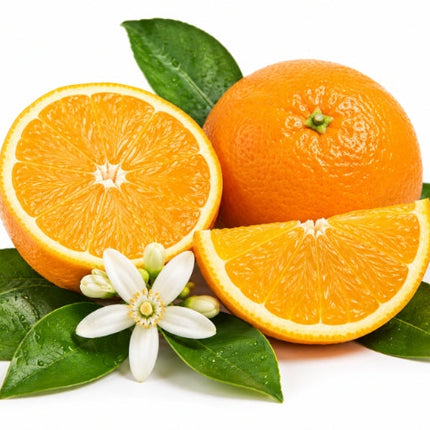 Orange Essential Oil