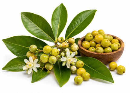 May Chang Essential Oil