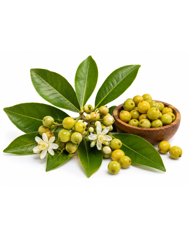 May Chang Essential Oil