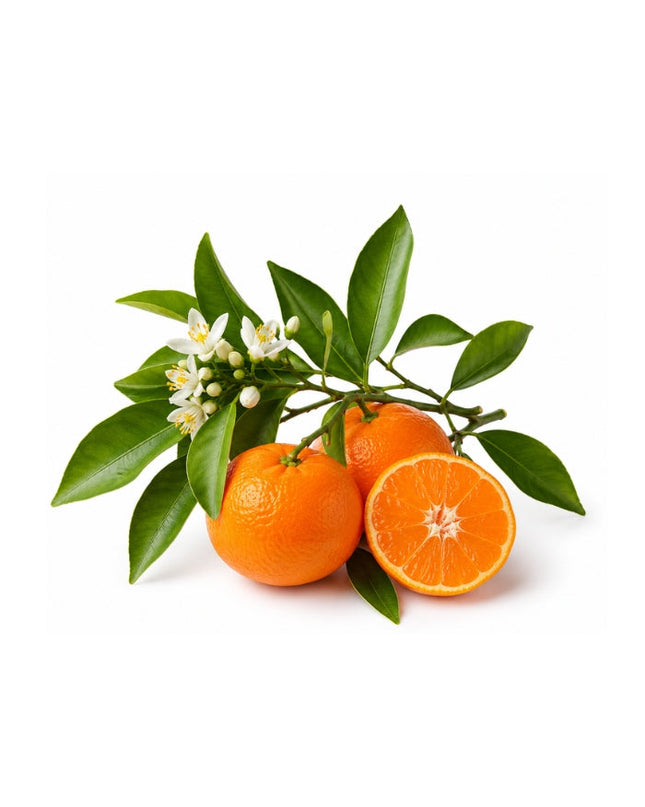 Mandarin Essential Oil
