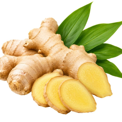 Ginger Essential Oil