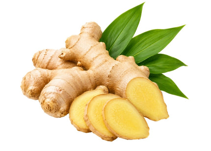 Ginger Essential Oil