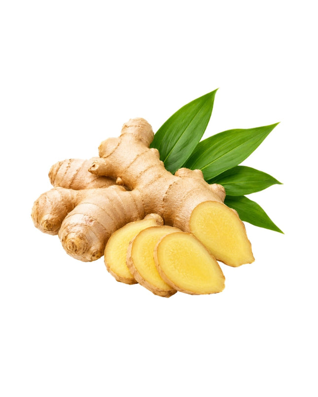 Ginger Essential Oil
