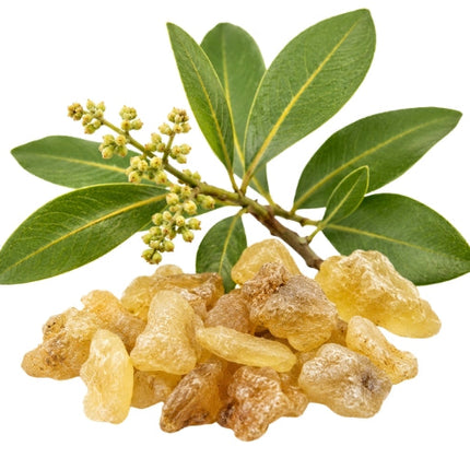 Elemi Essential oil