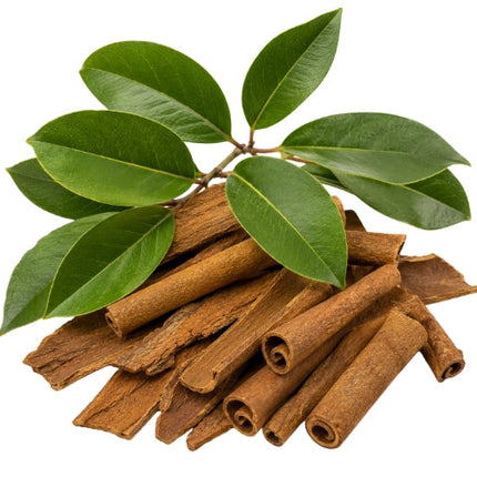 Cassia Essential Oil