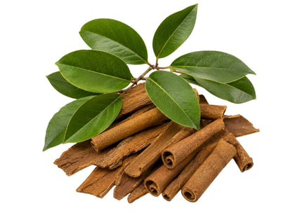 Cassia Essential Oil
