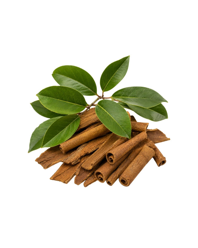 Cassia Essential Oil