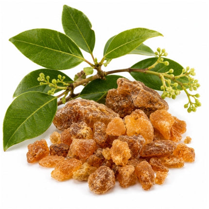Benzoin Essential Oil