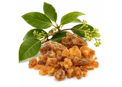 Benzoin Essential Oil