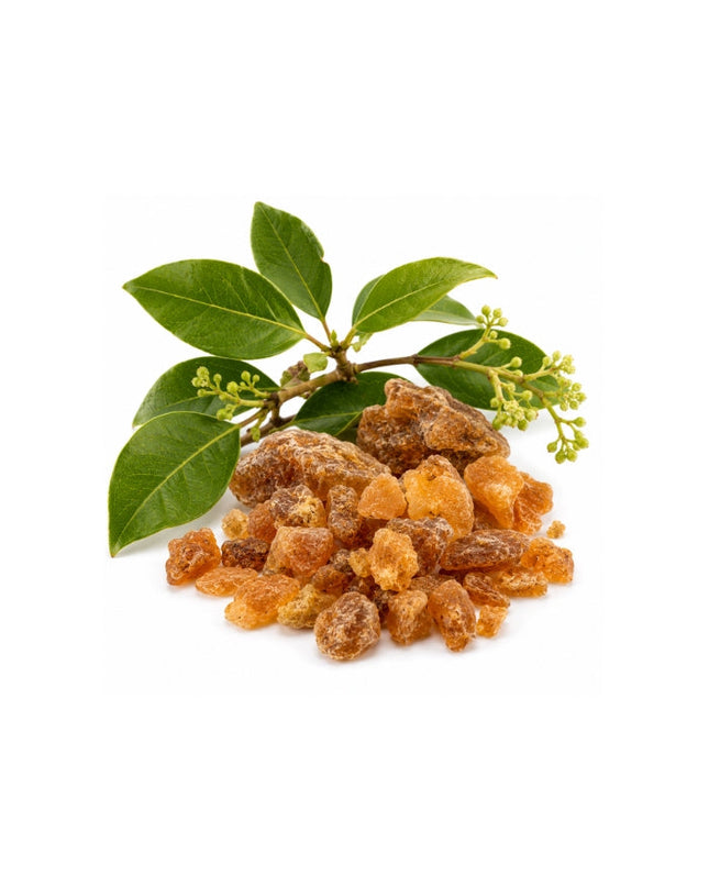 Benzoin Essential Oil